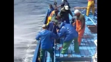 Aparejos de pesca, giratorio de pesca de carpa negro mate, cuerpo largo, giratorio de cambio rápido con anillo